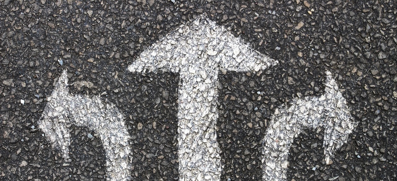 Das Chaos um die EUDR, was nun?